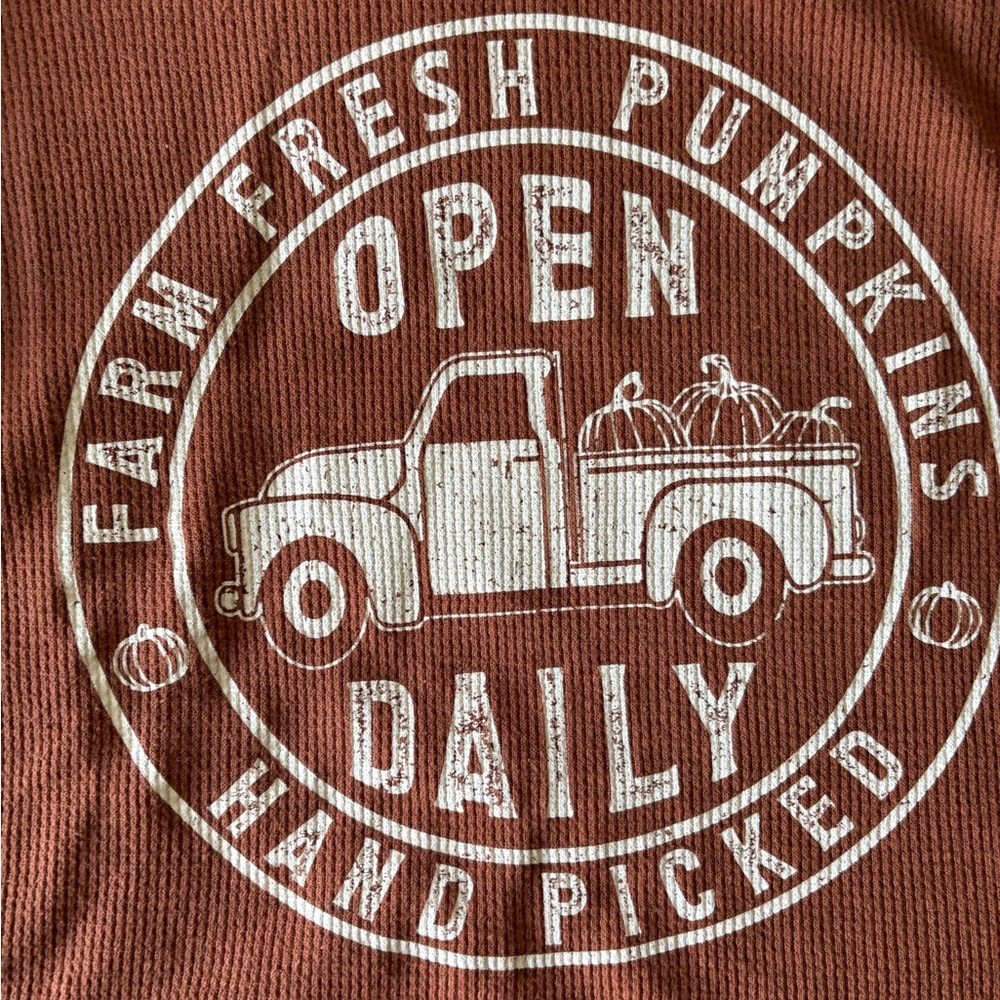 Natural Reflections Rust Tee NWOT